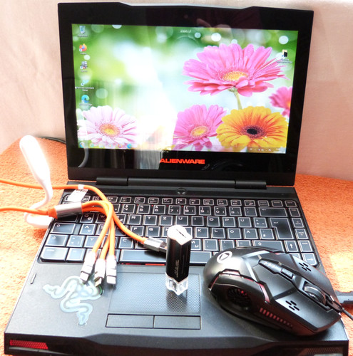 Netbook alienware m11x - m11x, r1