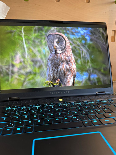Alienware m16 gaming - alienware, laptop