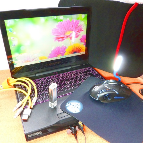 Alienware m11x pollici - alienware, 11
